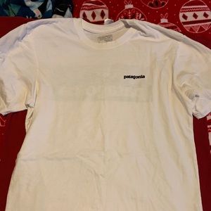 Patagonia mens tshirt